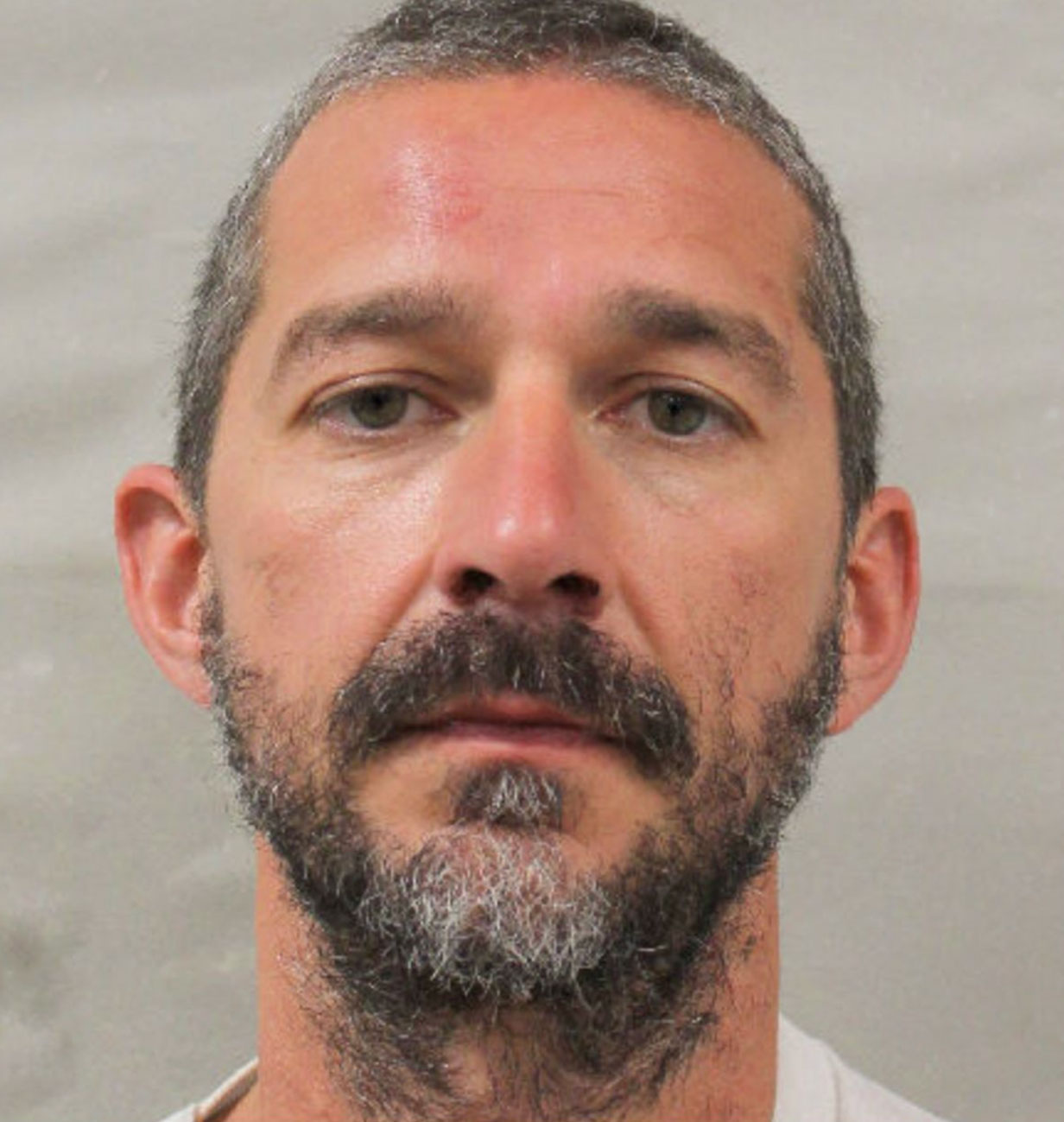 shia LaBeouf mugshot