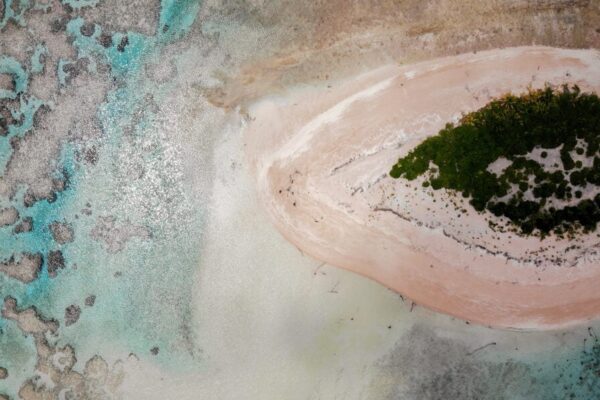 An aerial view as vegetation regrows on an islet (R) where trees were obliterated by a past storm in the Funafuti atoll on November 26, 2019 in Funafuti, Tuvalu.