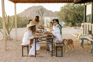 Friends dinner party wonder valley.